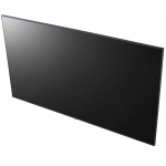 LG 樂金 50UL3J-B 50吋 UL3J系列webOS UHD顯示屏